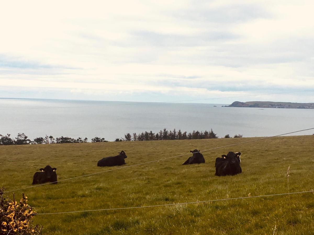 Follies Suites Ballyvoile Dungarvan  Εξωτερικό φωτογραφία